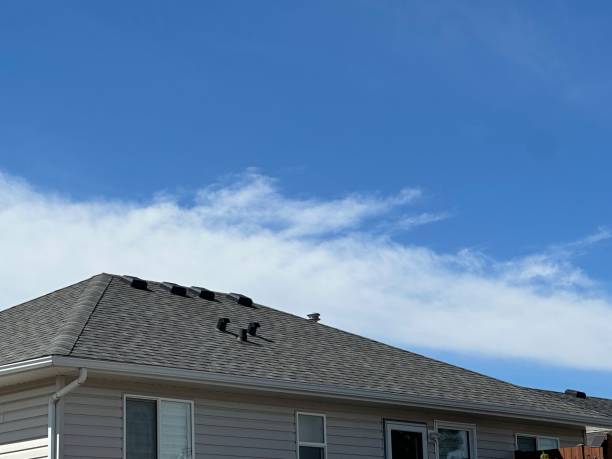 Best Roof Maintenance and Cleaning  in Hillsboro, WI
